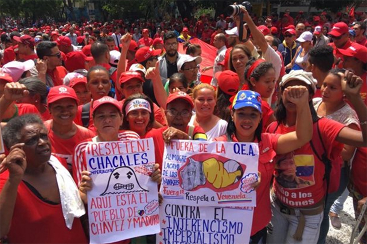 Chavistas marchan contra secretario general de la OEA