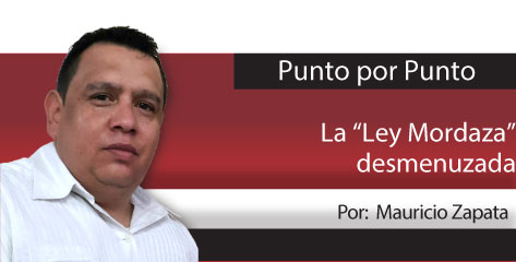 Punto por Punto  La “Ley Mordaza” desmenuzada