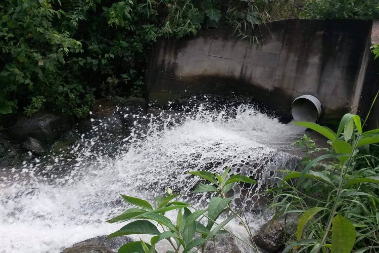 Amenaza desastre ecológico a 23 municipios