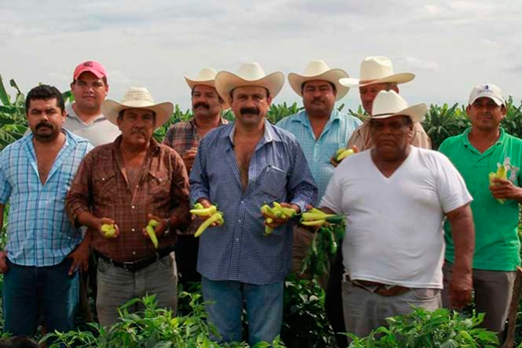 Y ahora ‘Layín’ va por gubernatura de Nayarit