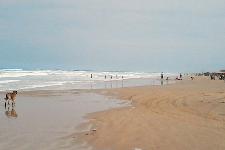 Sancionarán a quien tire basura en playa Miramar
