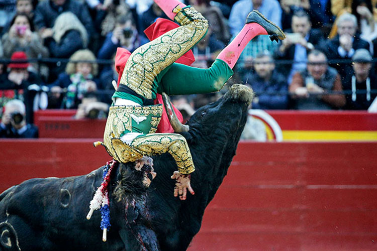 Recibe Juan José Padilla escalofriantes cornadas