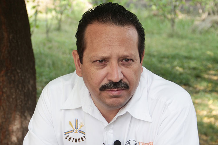 Contribuye UAT a proteger la guacamaya verde en Tamaulipas