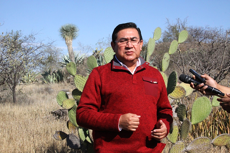 Realizará UAT estudio para proteger planta silvestre en peligro de extinción