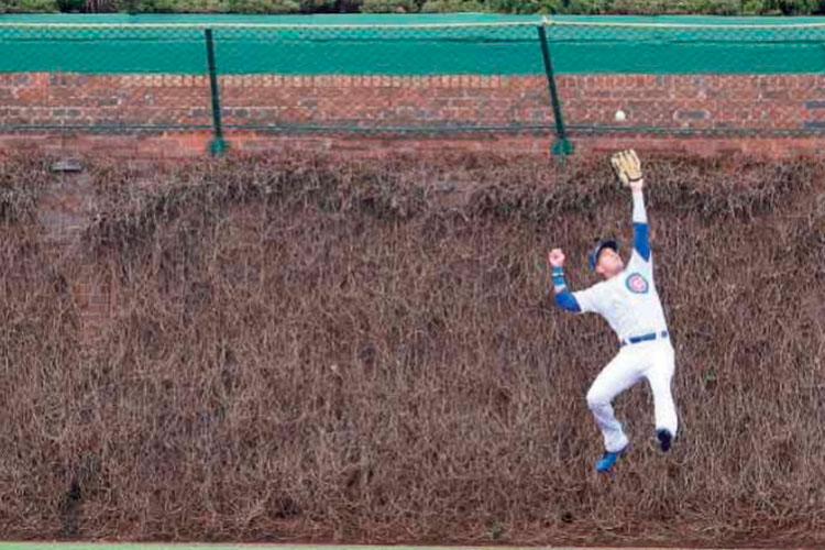 Cachorros le devuelve la blanqueada a Dodgers