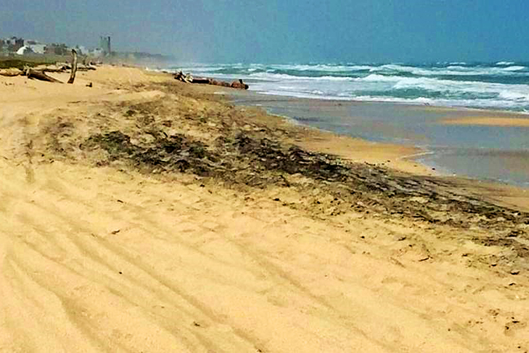 Aparición de chapopote en la playa es un fenómeno “natural”: Pemex