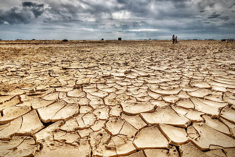 Inician hoy Foros sobre Medio Ambiente en Tamaulipas