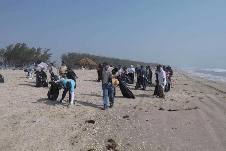 Participan dos mil personas en limpieza de playa de La Pesca