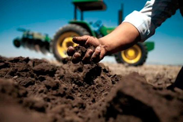 Adquiere Tamaulipas seguro para productores vs sequía