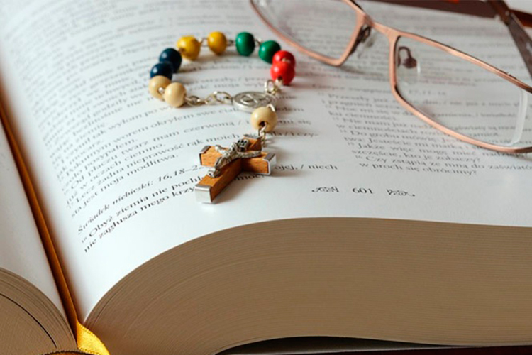 Aumenta el número de católicos en el mundo; los sacerdotes se pierden