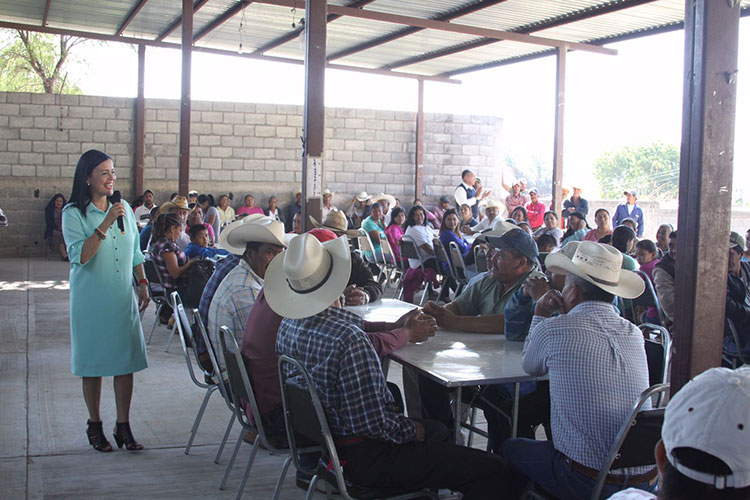 Partido Verde no hará alianzas en Tamaulipas
