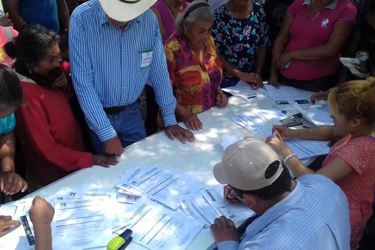 Concluye PRI 12 asambleas municipales en Tamaulipas