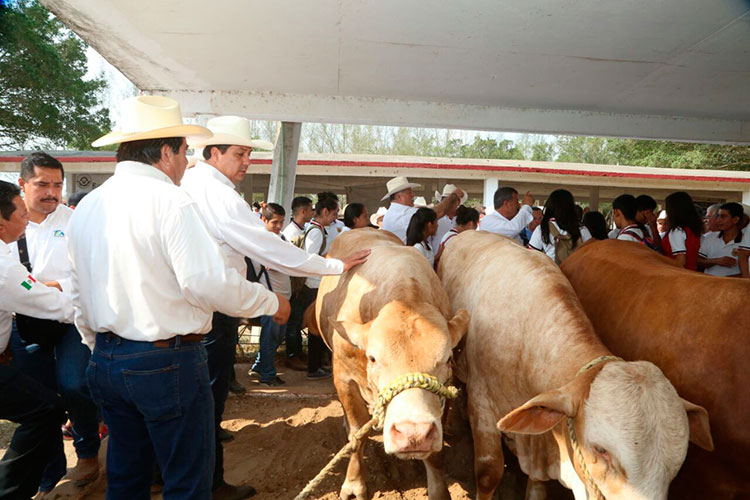 Gobierno estatal destinará más de 130 mdp a ganaderos de la entidad