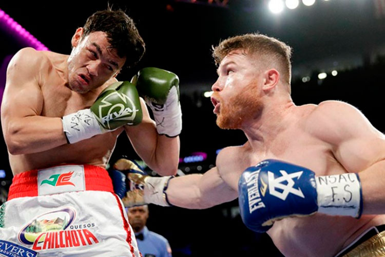 ‘Canelo’ y Chávez Jr, limpios en pruebas antidopaje