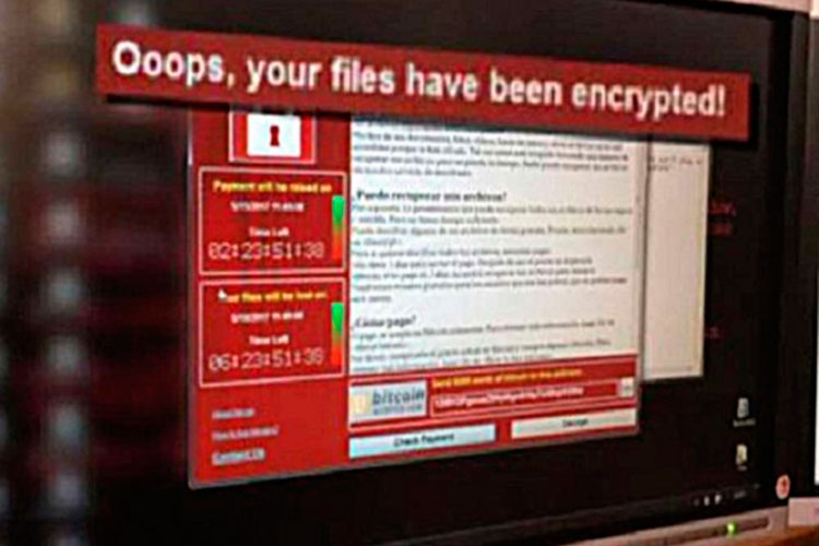 Dos veinteañeros, los héroes que pusieron un alto a virus mundial