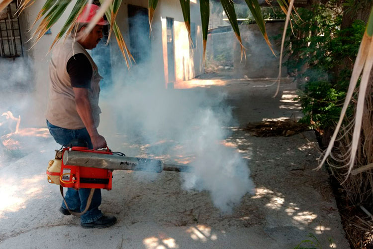 Intensifica Salud combate contra el Dengue