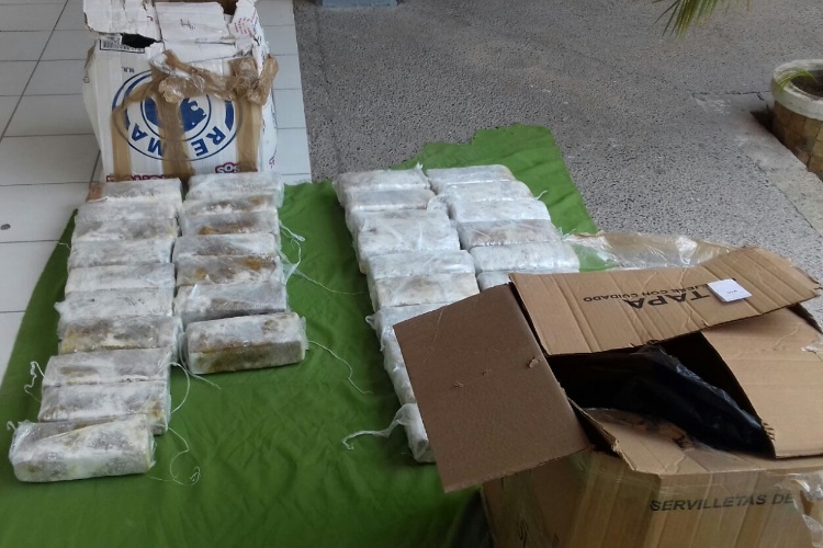 Decomisa SEDENA droga en Jaumave