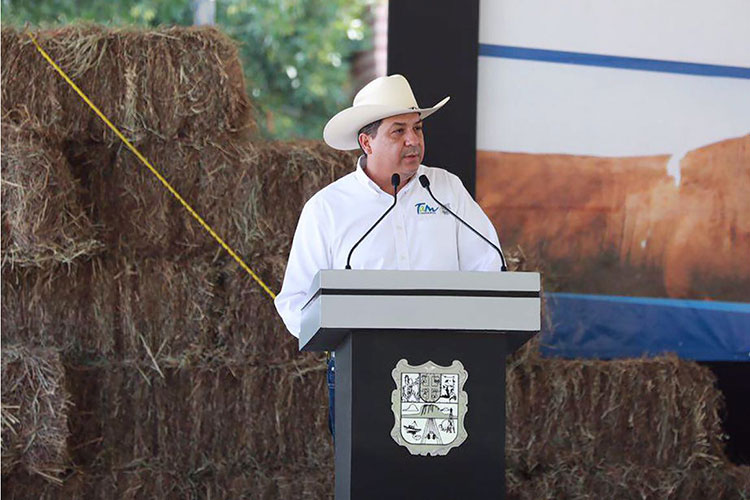 Sigo poniendo orden, Cabeza de Vaca en San Fernando