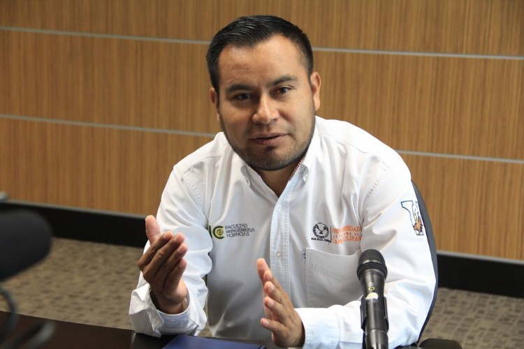 Analizan uso de la moringa como forraje para el ganado