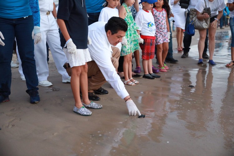 Liberan más de mil crías de tortugas lora