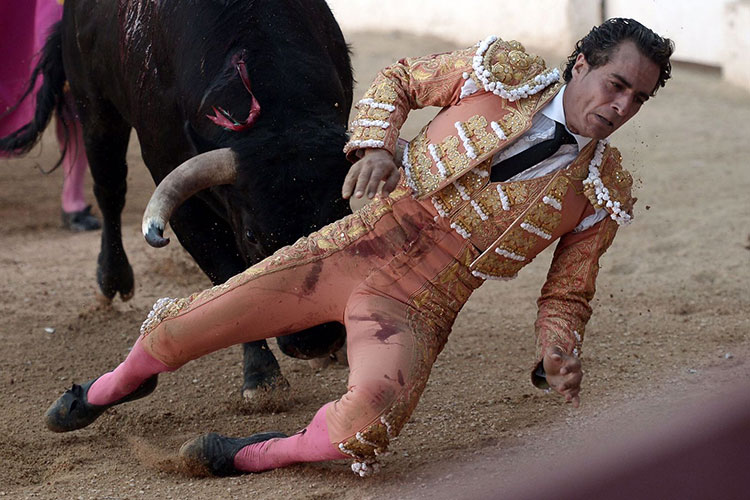 Muere el torero Iván Fandiño; Han muerto 138 en el mundo