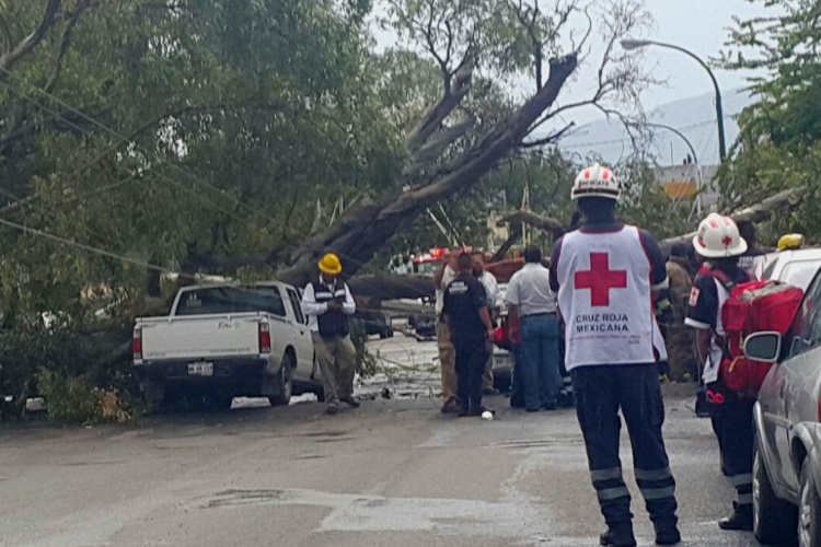 Lluvia y viento causan destrozos