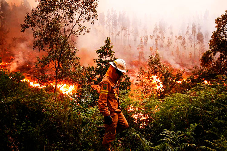 Clima complica incendio en Portugal; despliegan a más de 2 mil bomberos