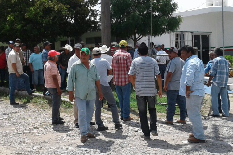 Protestan productores de sorgo en San Fernando