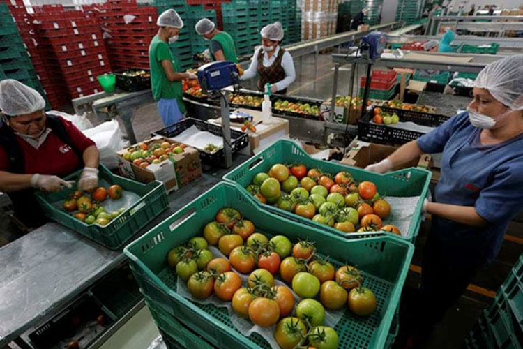 Prevé EU empezar renegociación del TLCAN el 16 de agosto