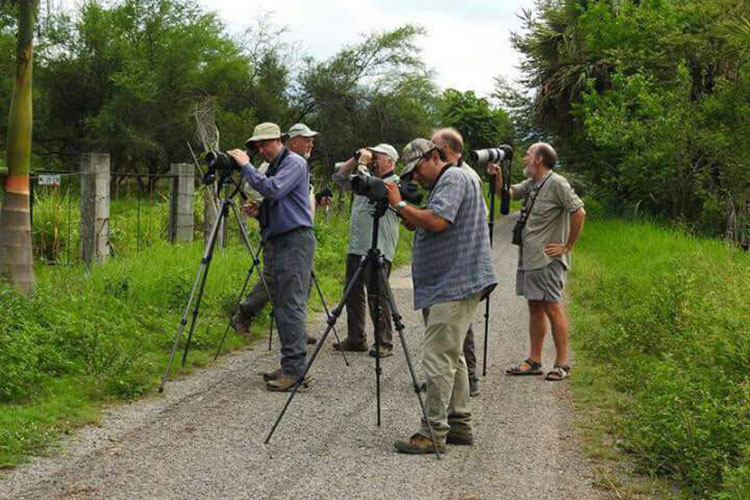Ecoturistas de EU e Inglaterra llegan a Tamaulipas