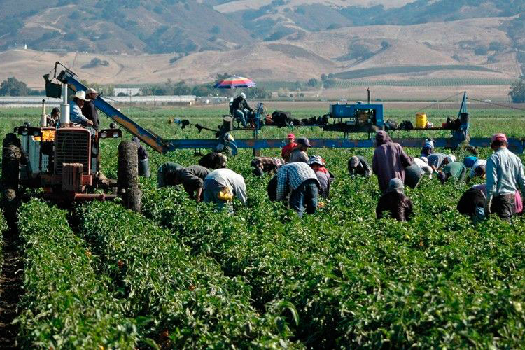 EU anuncia 15 mil visados para trabajadores extranjeros
