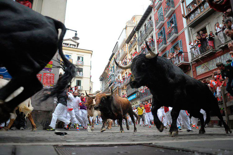 Sin heridos culmina la quinta jornada de San Fermín