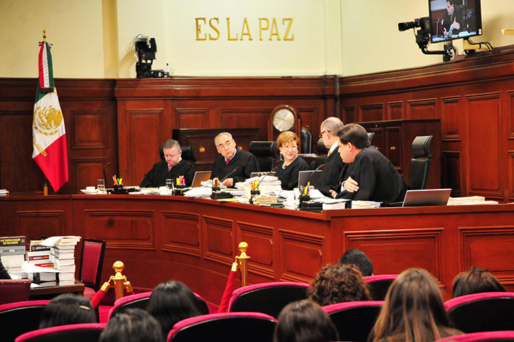 Fallos del Tribunal y SCJN ‘libera’ a políticos: Fecanaco