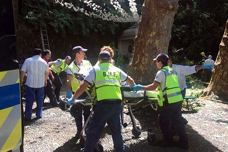 Árbol aplasta a multitud en Portugal; reportan 11 muertos