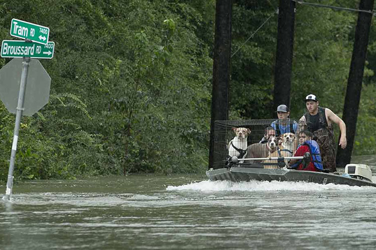 Golpea Harvey en la frontera entre Texas y Luisiana