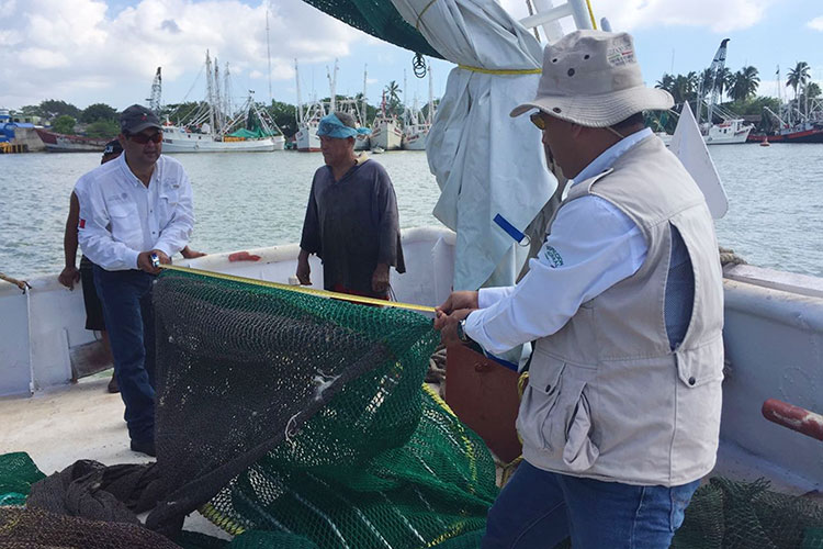 Certifica PROFEPA a 170 embarcaciones camaroneras