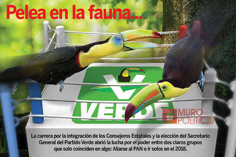 Revisa SCT salud de choferes; Mueren 44 en carreteras