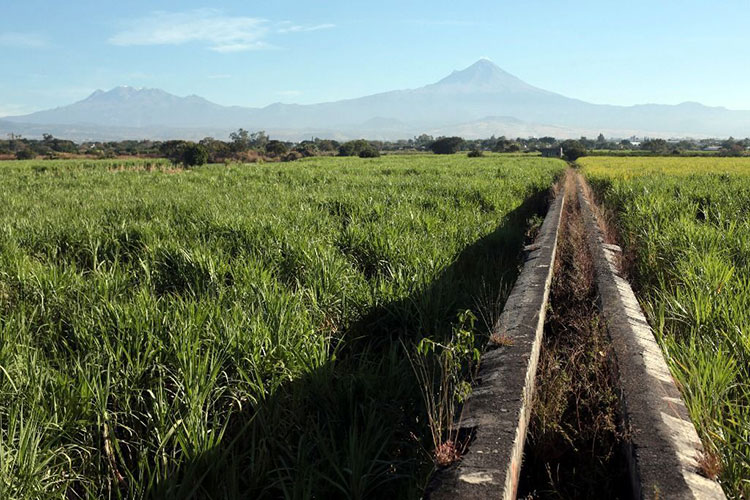 Campesinos piden consulta sobre el capítulo agropecuario en el TLCAN