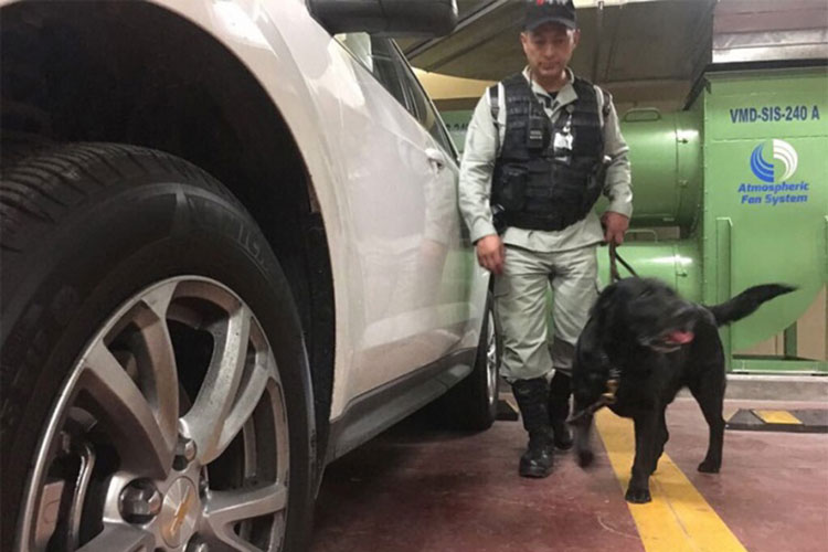 Falsa amenaza de bomba activa focos rojos en torre de Pemex