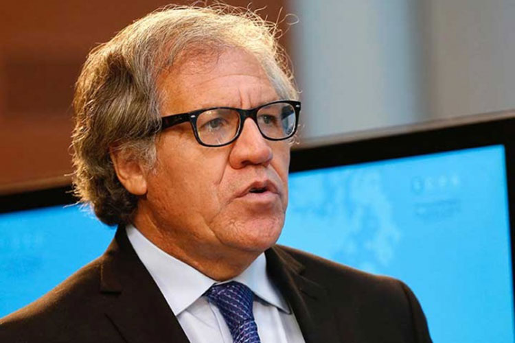 Jefe de OEA aboga por endurecer sanciones a Venezuela