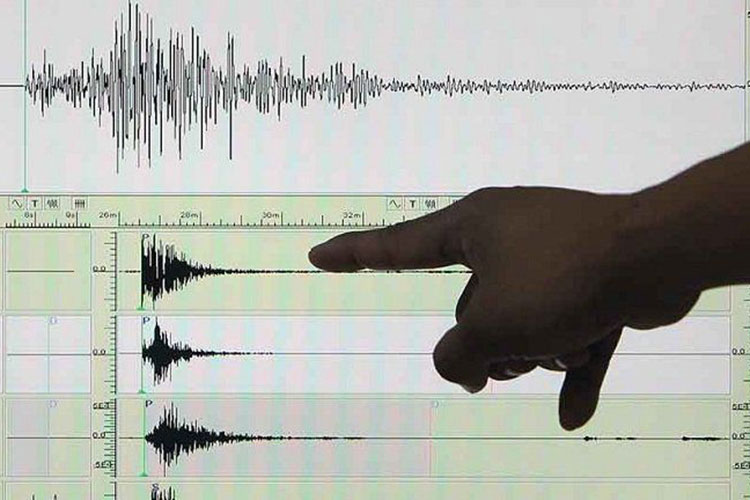 Suman 31 réplicas del sismo de 7.1 grados Richter: SSN