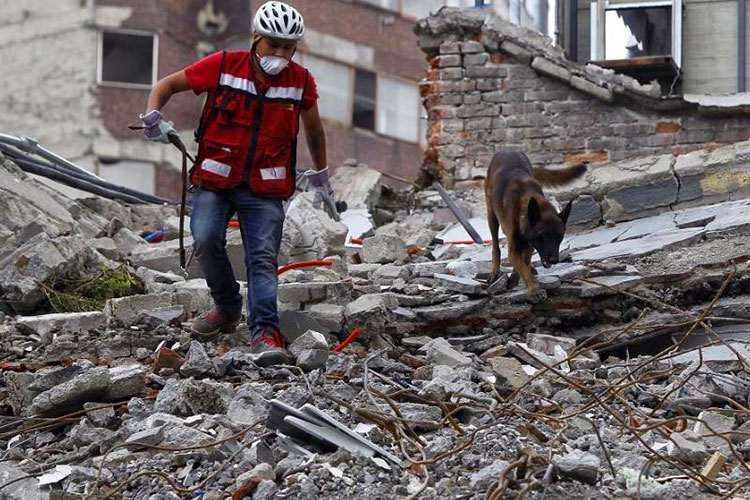 No hay víctimas Tamaulipecos en sismo, asegura PC