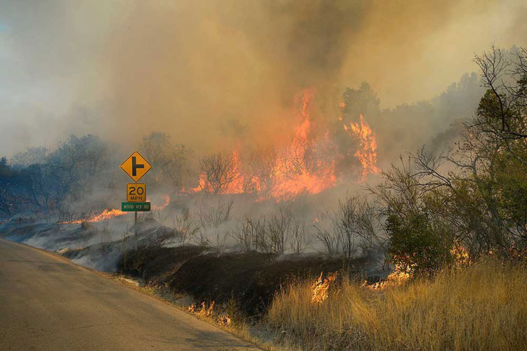 Suben a 40 los muertos en California por incendios