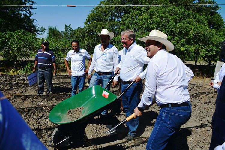 Adelantarían programas federales en 2018