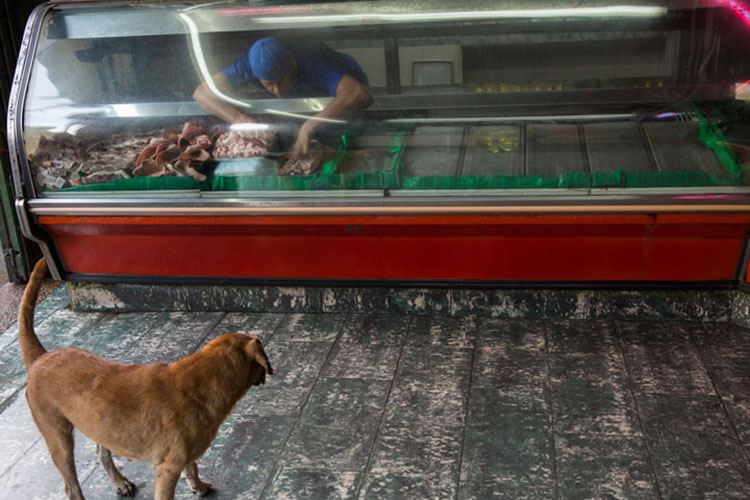 Por crisis, cerca de 470 mil venezolanos viven en Colombia