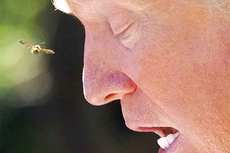 Juez da nuevo revés a veto migratorio