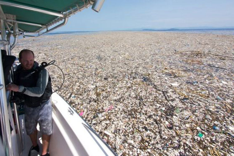 Mar de basura, entre Honduras y Guatemala