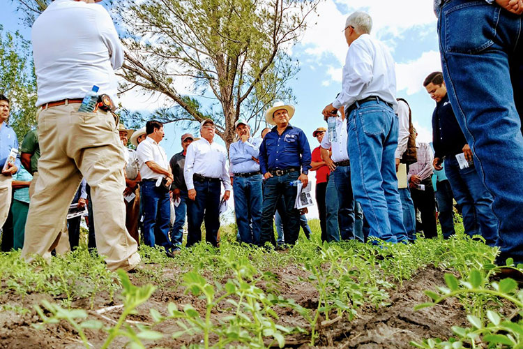 Apoyarán a ganaderos afectados por violencia