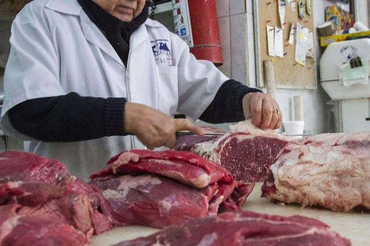 Gob-CDMX reconoce que se distribuyó carne de caballo para consumo humano