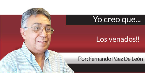 Punto por Punto La “guerra” por Tamaulipas (III)